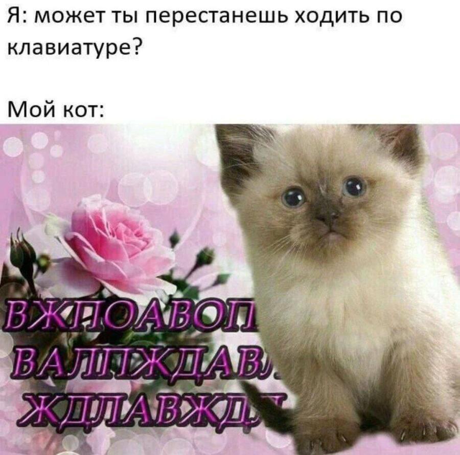 Мем без подписи
