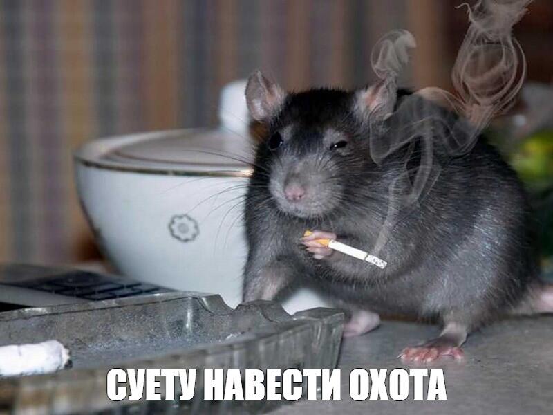 чисто я в мемозге: