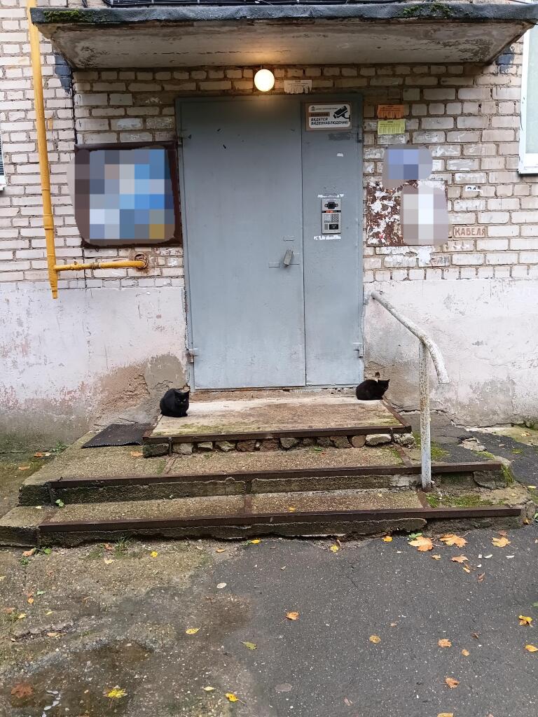 На страже подъезда