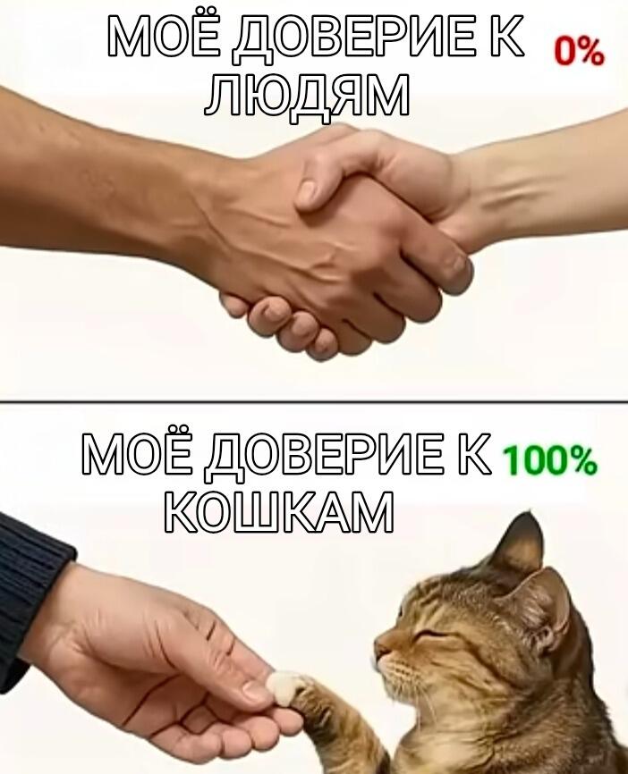 День 2 я жду когда Алексей сова подпишется на меня