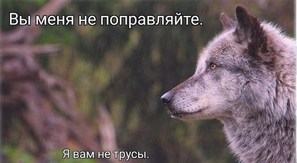 Мем от 🌸💥|цвяточный ад {ПЛМ}