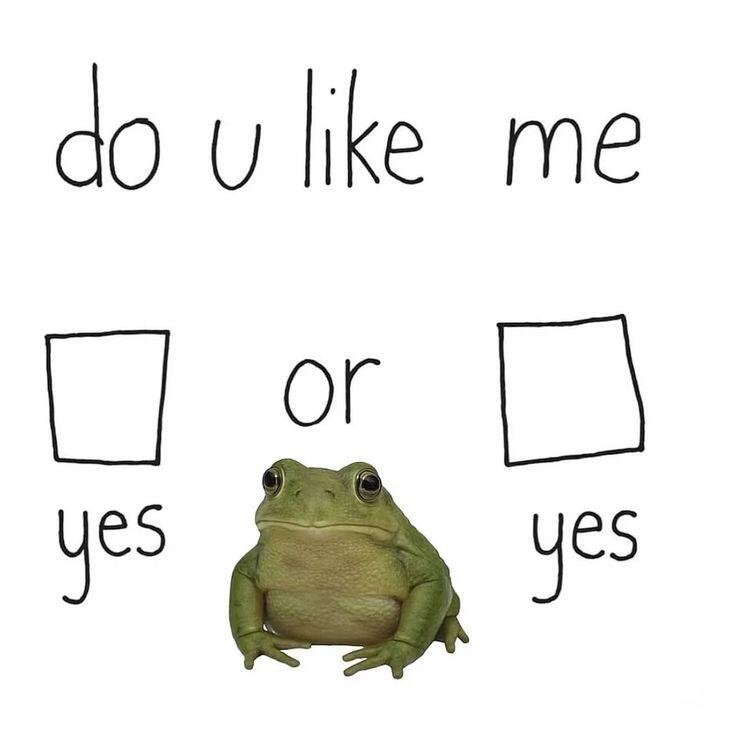 🐸💖