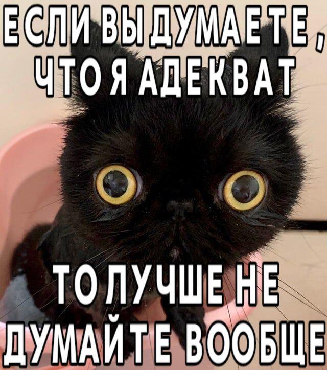 Мем без подписи