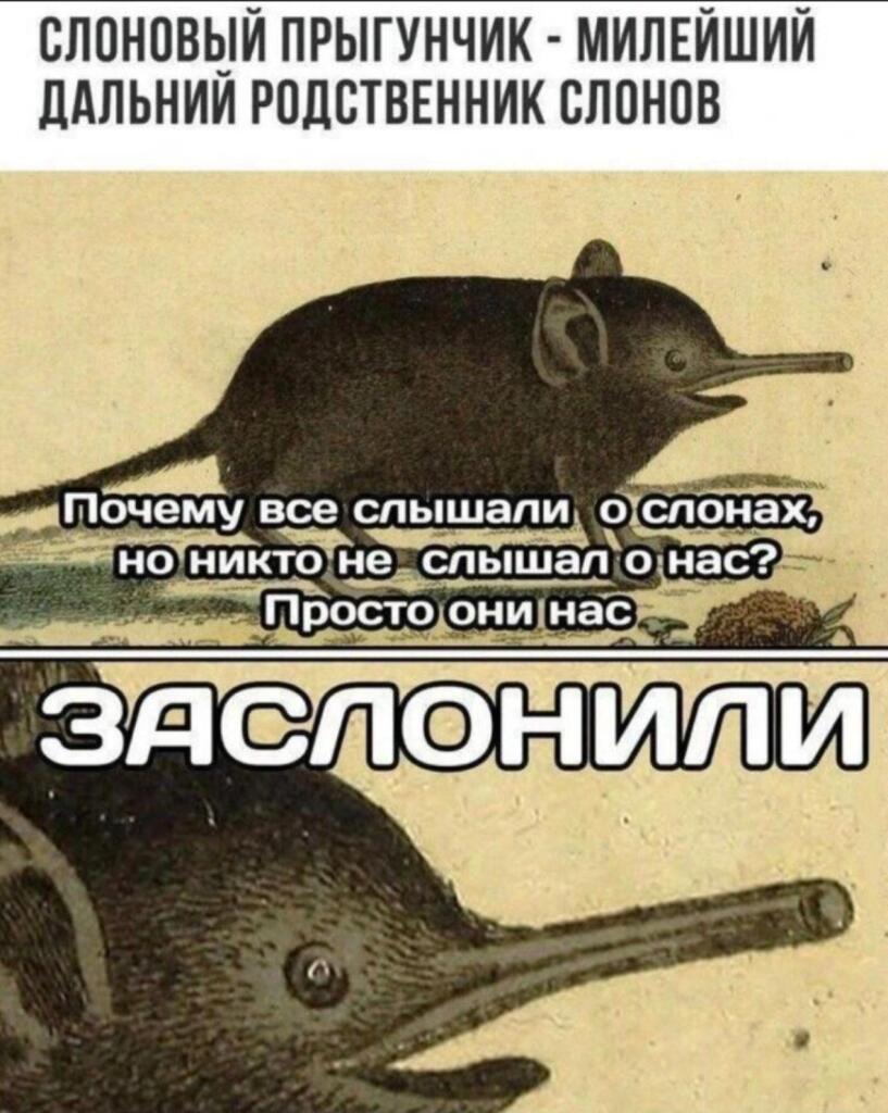 Пзахахахаз