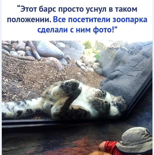 Бартсссссссссссс