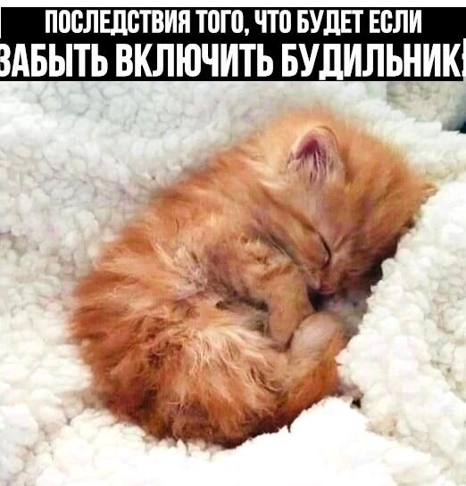 Мем от Алексей Сова