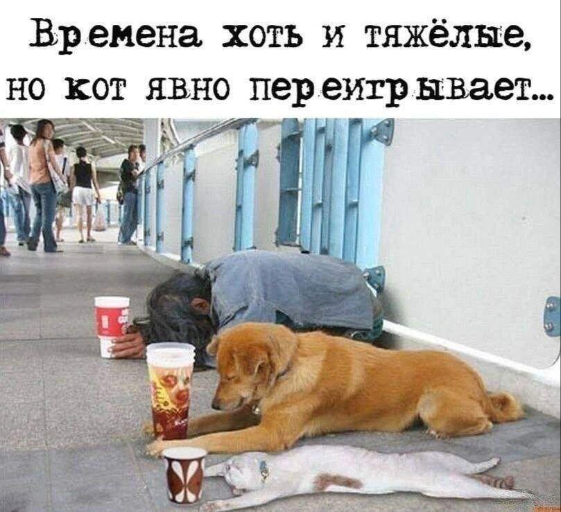 Мем от Андрей23