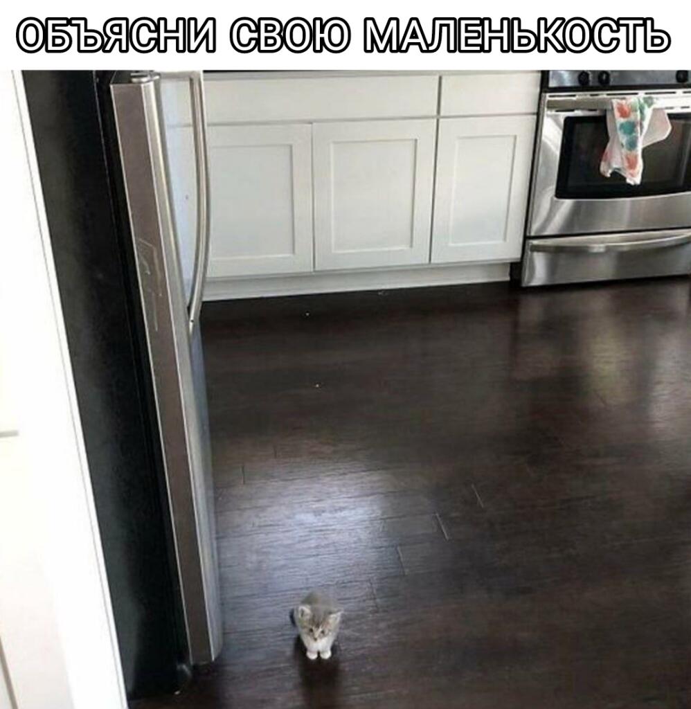 Мем от Коржик
