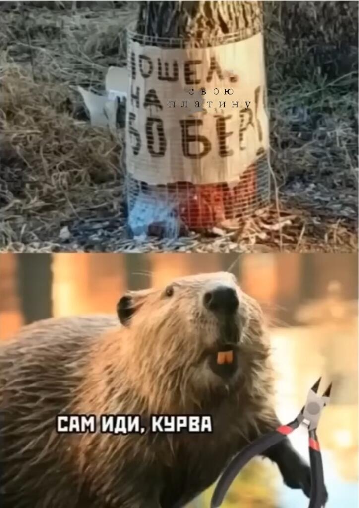 Чую защита не поможет...