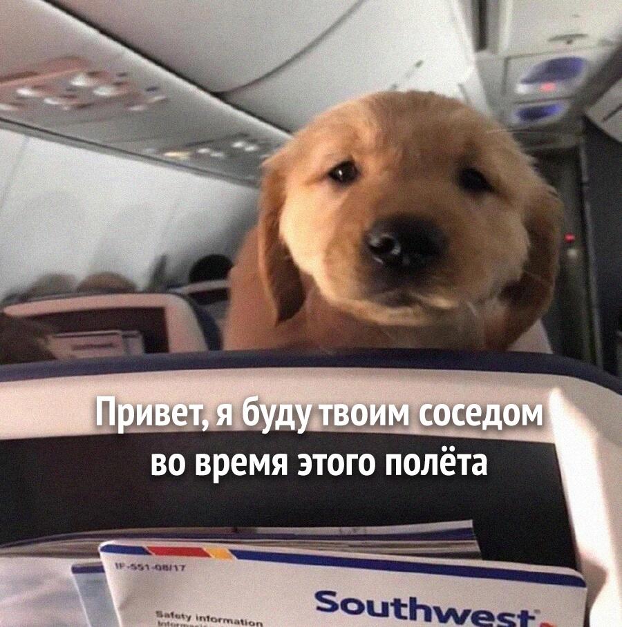 Кто такого соседа хотел бы?