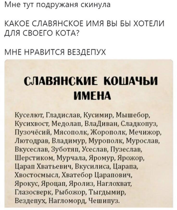 Какое имя вам понравилось?