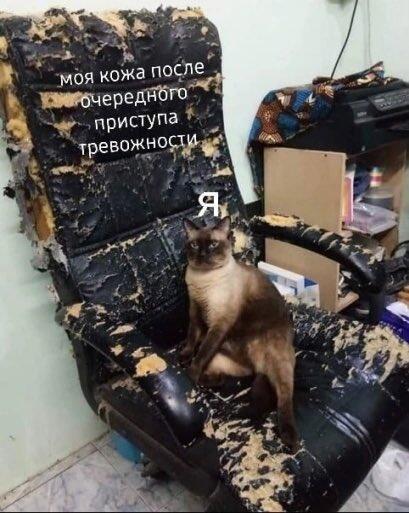Мем с твиттера (х-са)