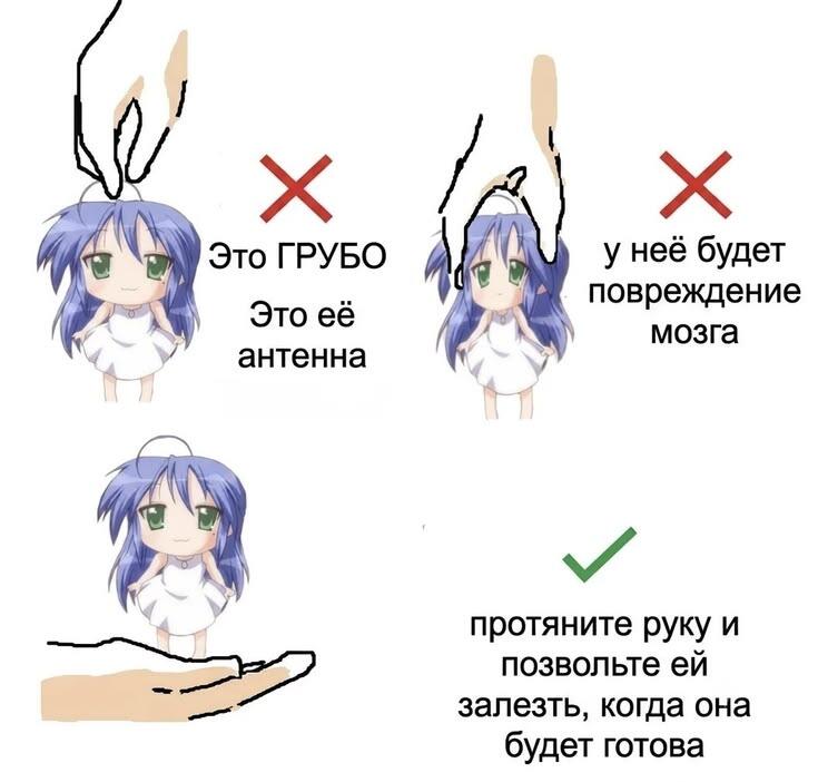 гайд как правильно держать кона-тян