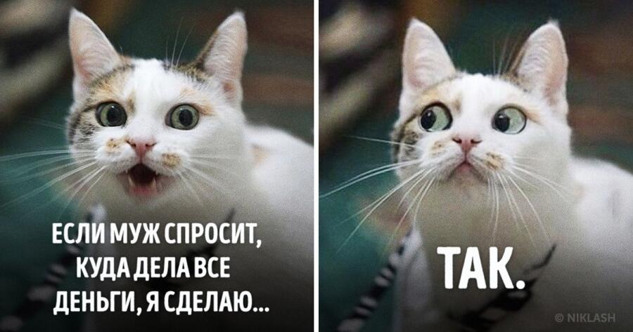 Проверено!