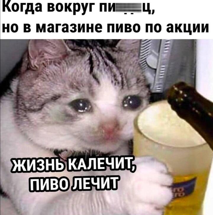 Так и живём