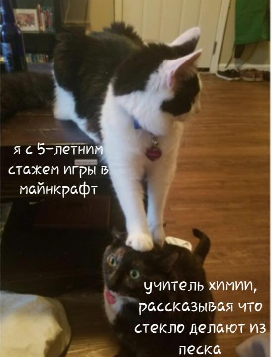 Мем без подписи