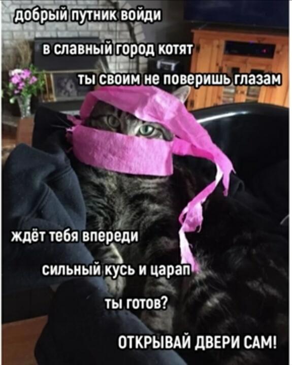 Кто-то: какая у тебя любимая песня?
Я: