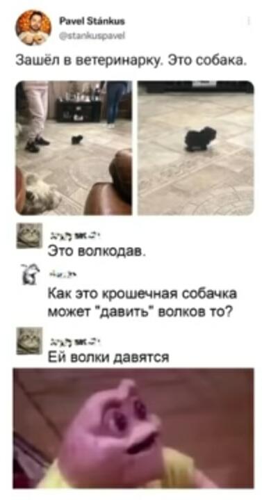 Минус волк, который захочет её съесть)))