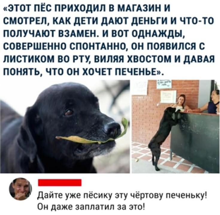 Милота🥰