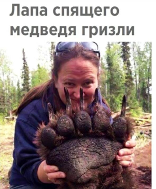 Теперь ты видел все!