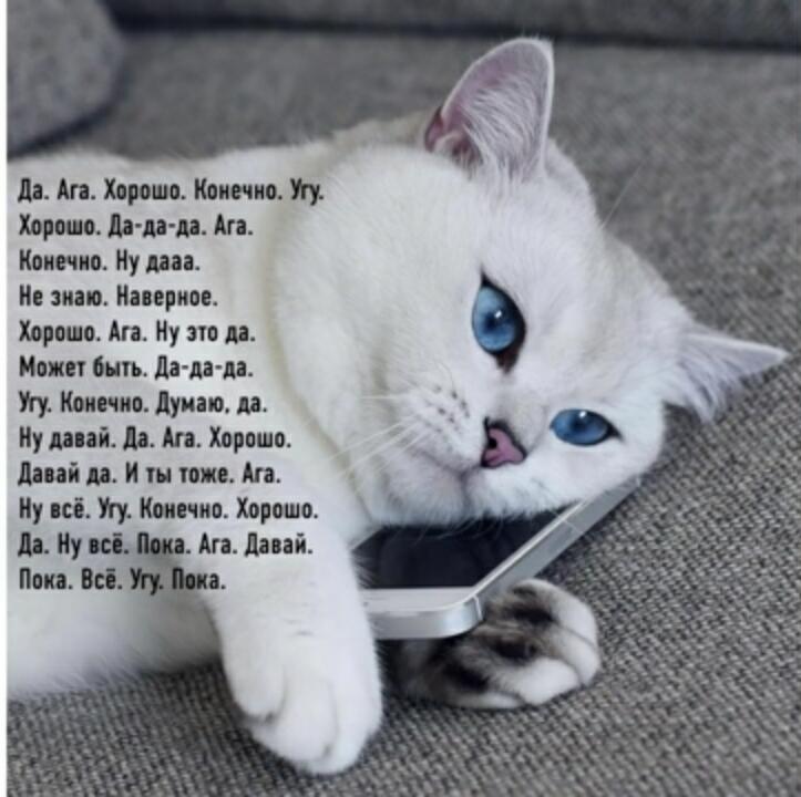 Мой разговор с мамой. Всегда.
