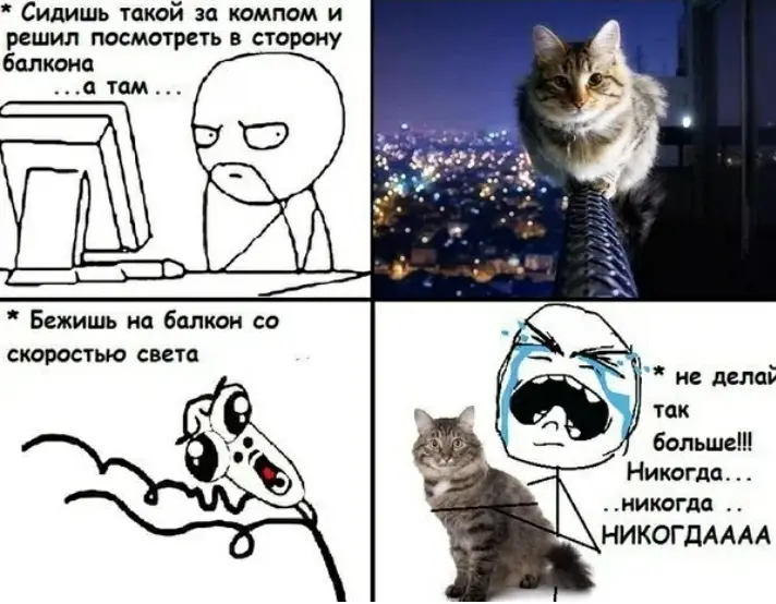 Там что сбежала. Смешные мемы с котами. Кот Мем. Коты мемы с надписями. Смешные мемы про котов.