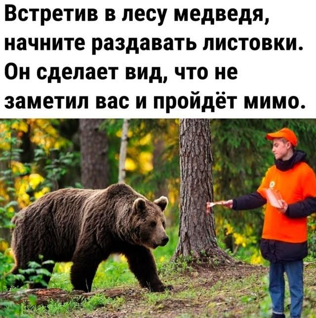 Медведь идёт по лесу, а парень в оранжевой куртке протягивает ему листовку. Надпись: Встретив в лесу медведя, начните раздавать листовки. Он сделает вид, что не заметил вас и пройдёт мимо.