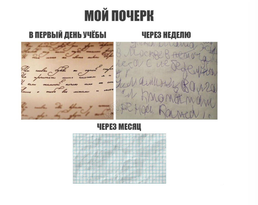 Это правда !