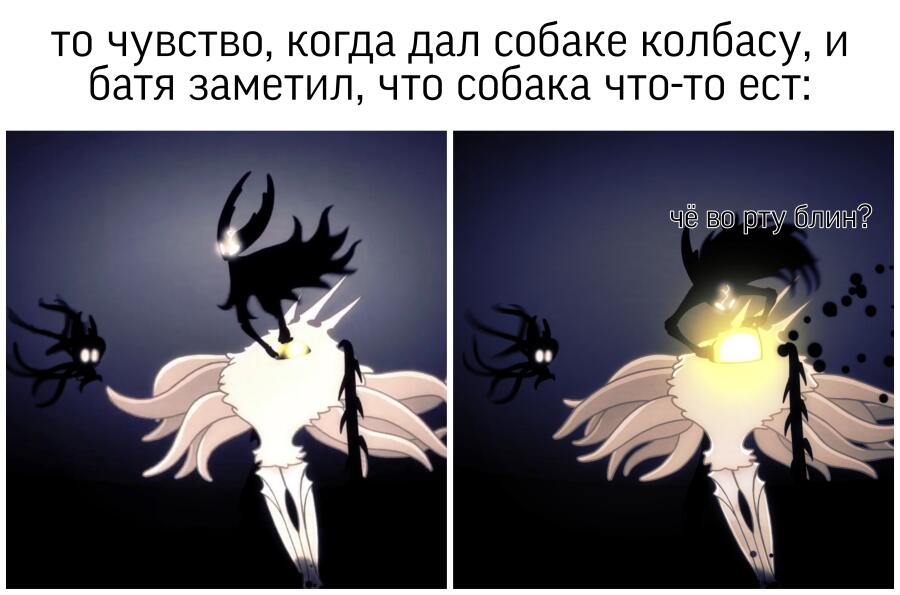 Мем от Popugakin