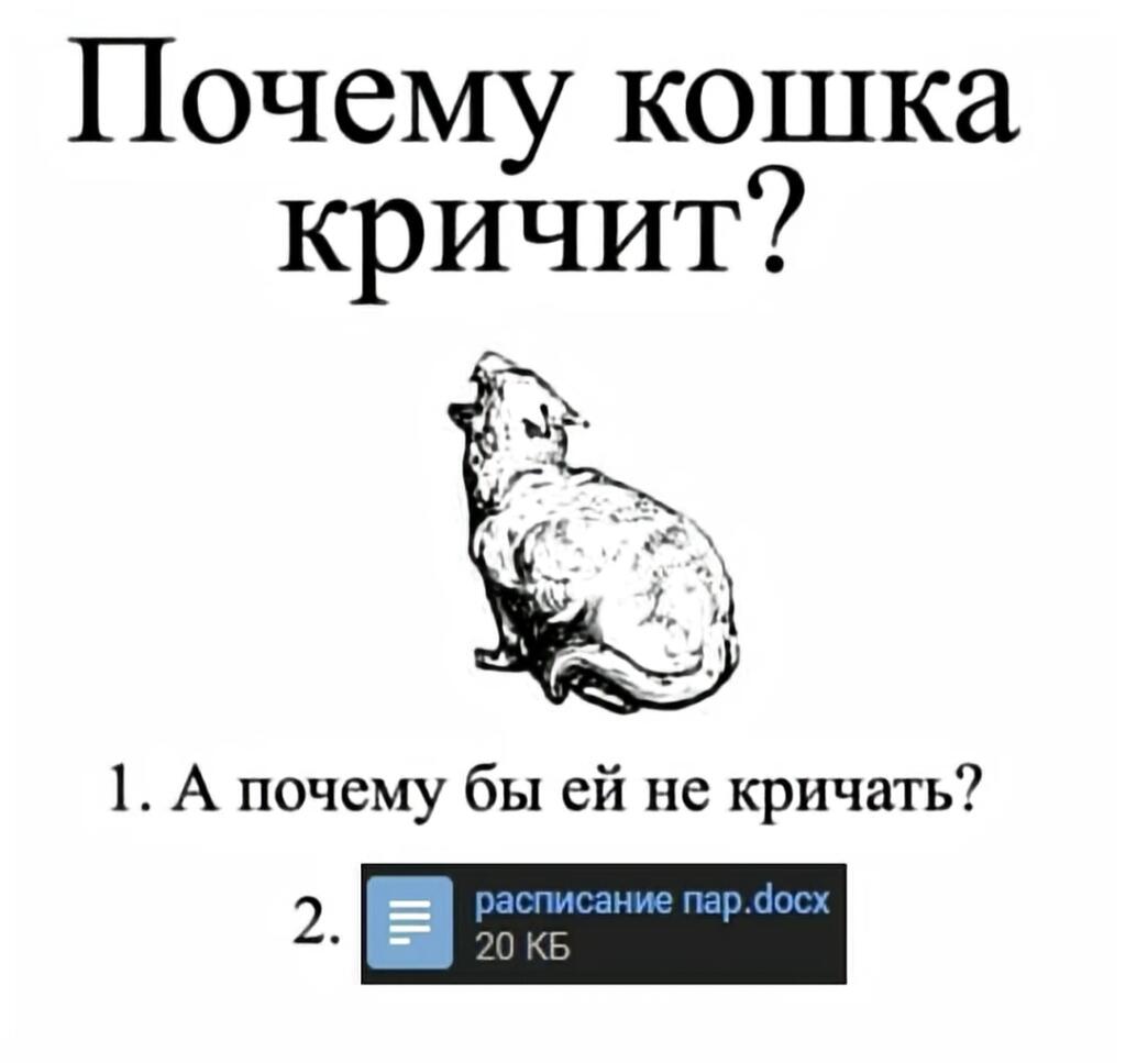 Рисунок кричащего кота, текст: Почему кошка кричит? Варианты ответа: А почему бы ей не кричать? и файл расписание пар.docx