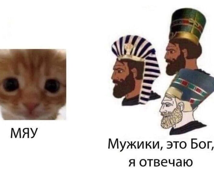 Мем от Шлепец