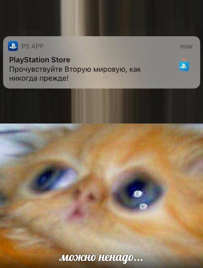 я бы и не такое сейчас прочувствовал