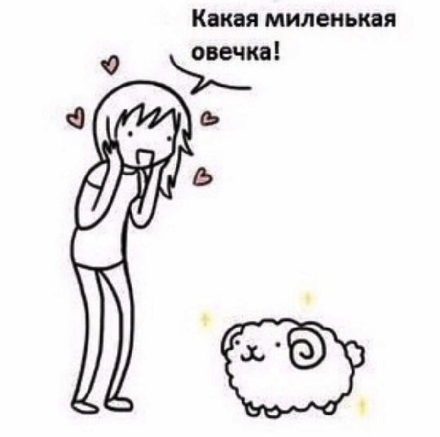 Мем без подписи