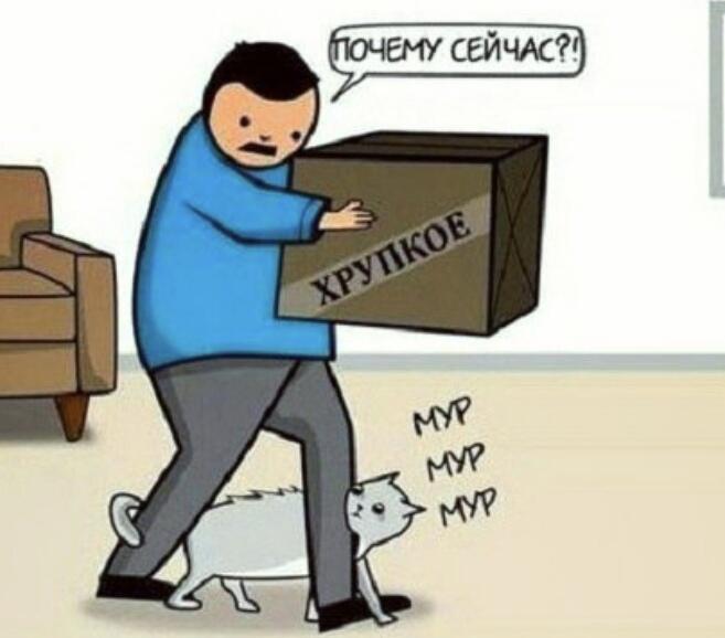 План перехват