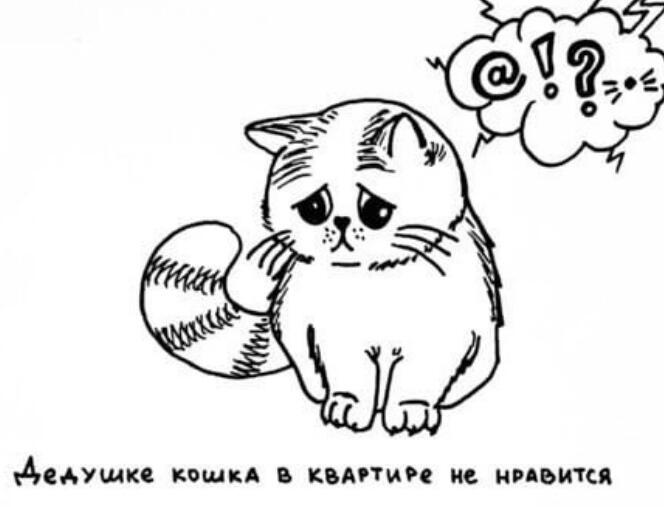 Мем без подписи