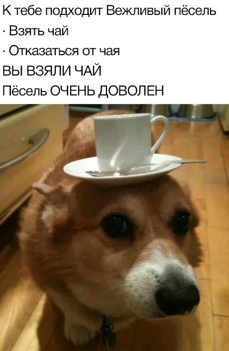 Мем без подписи
