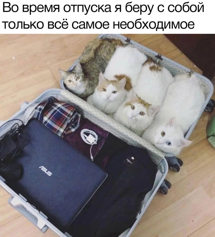 Мем без подписи