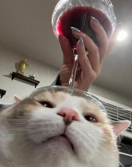 Красное-белое кото