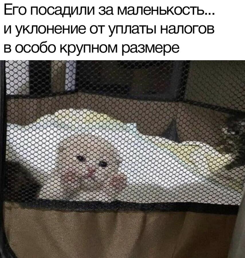 Мем без подписи
