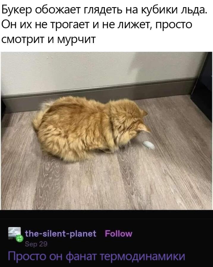 Мем без подписи