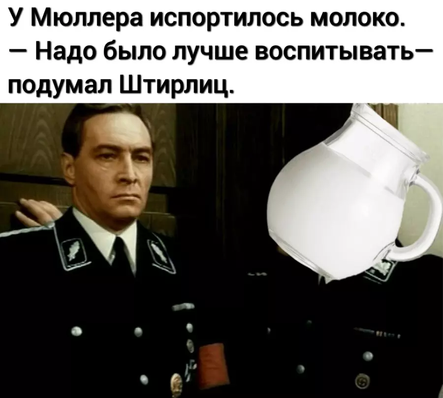 Штирлиц шпион