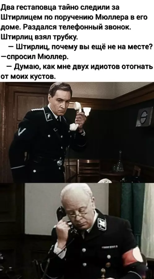 Профессия штирлица