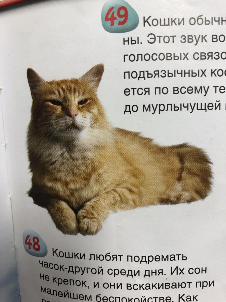 Когда обыграл училку в споре