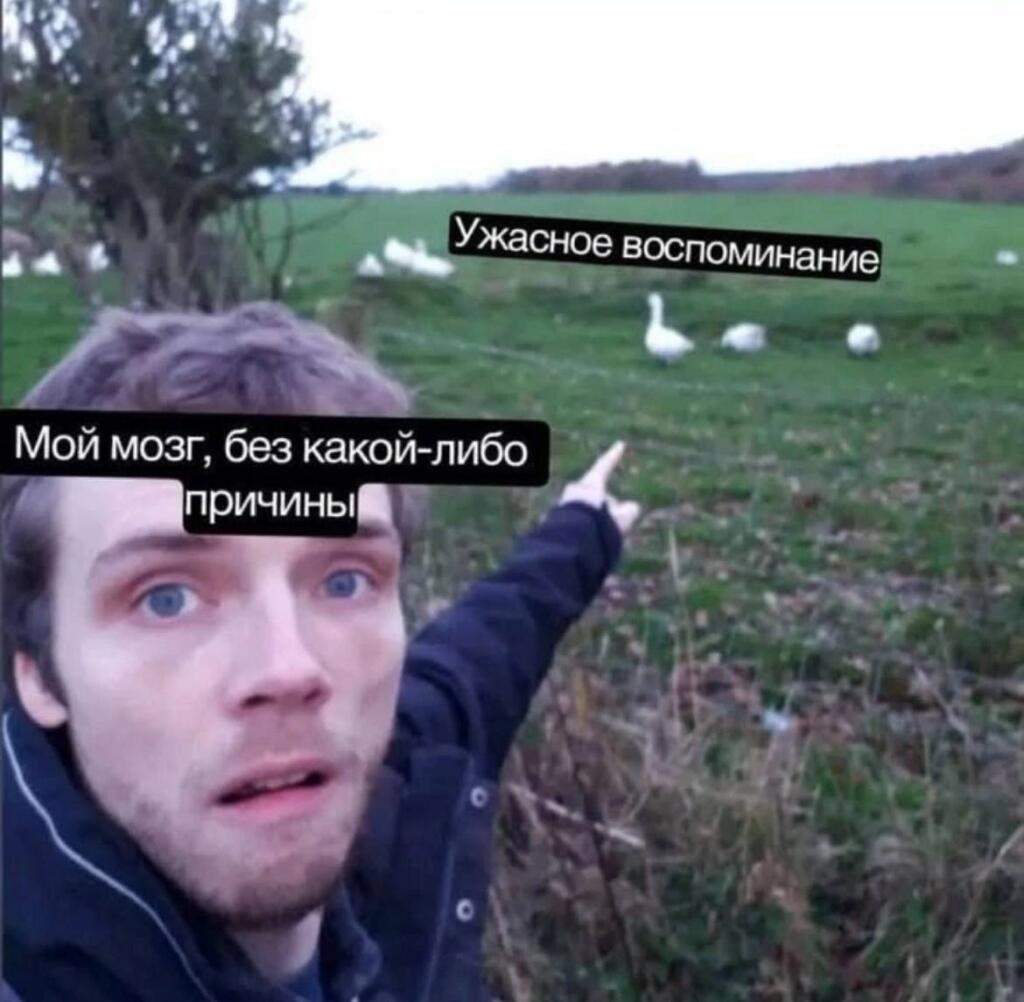 Мем от КотоУт