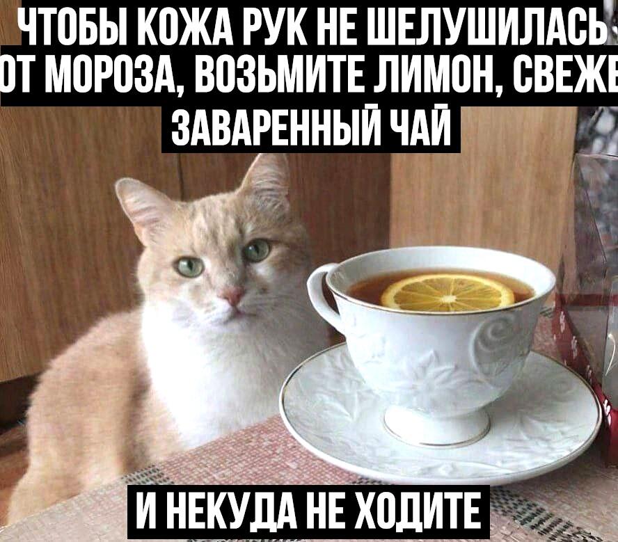 Мем от Алексей Сова