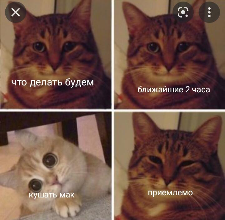 Жиза