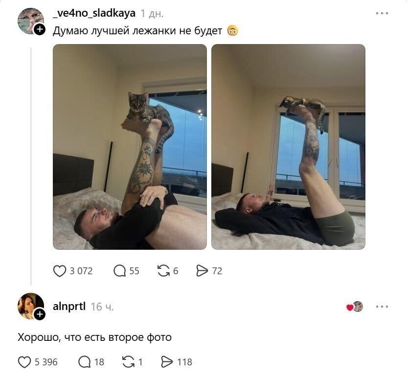 Мем без подписи