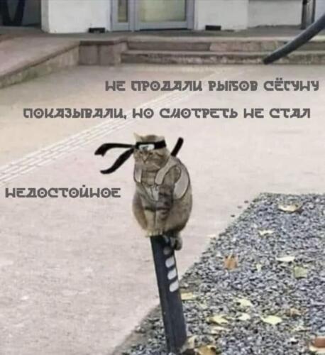 Мем от Badvarsik