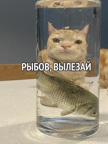 Мем от Badvarsik