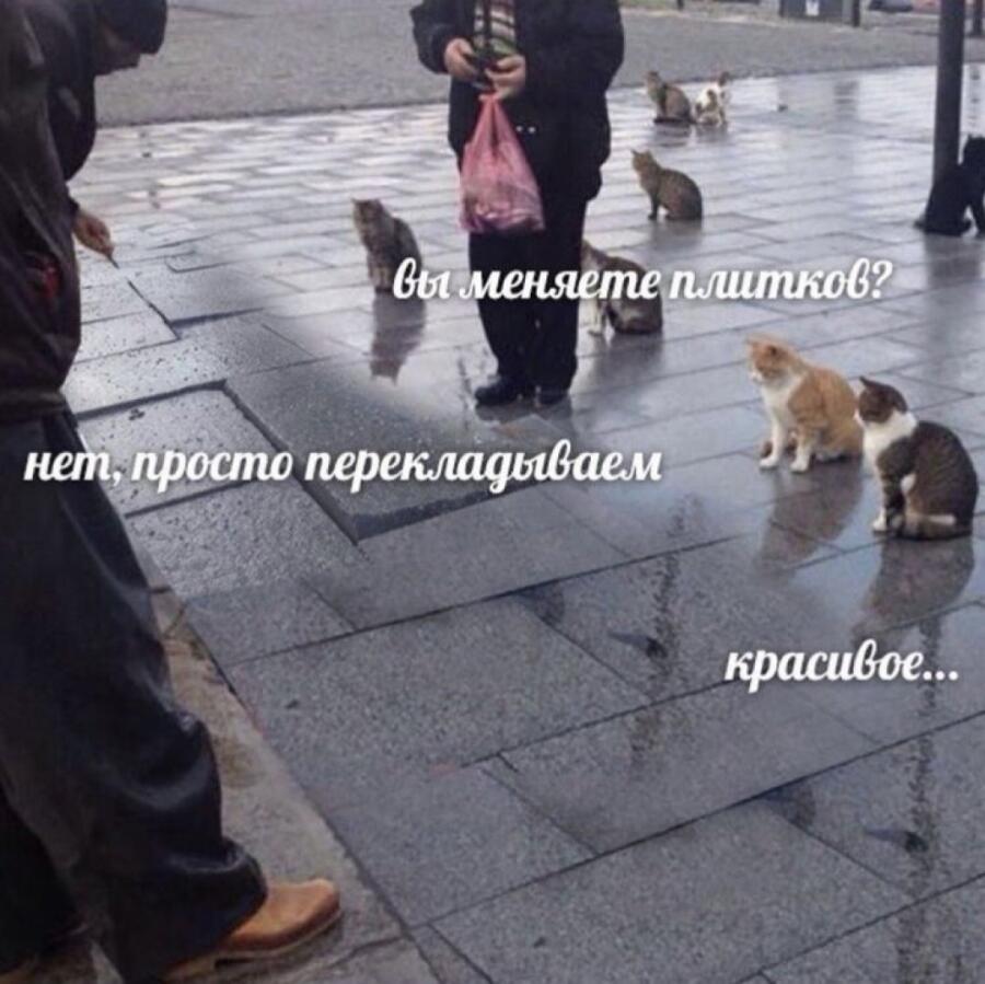 Мем от Badvarsik